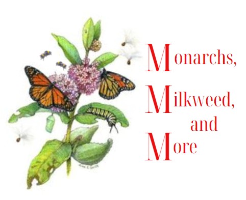 Monarchs Milkweed and More